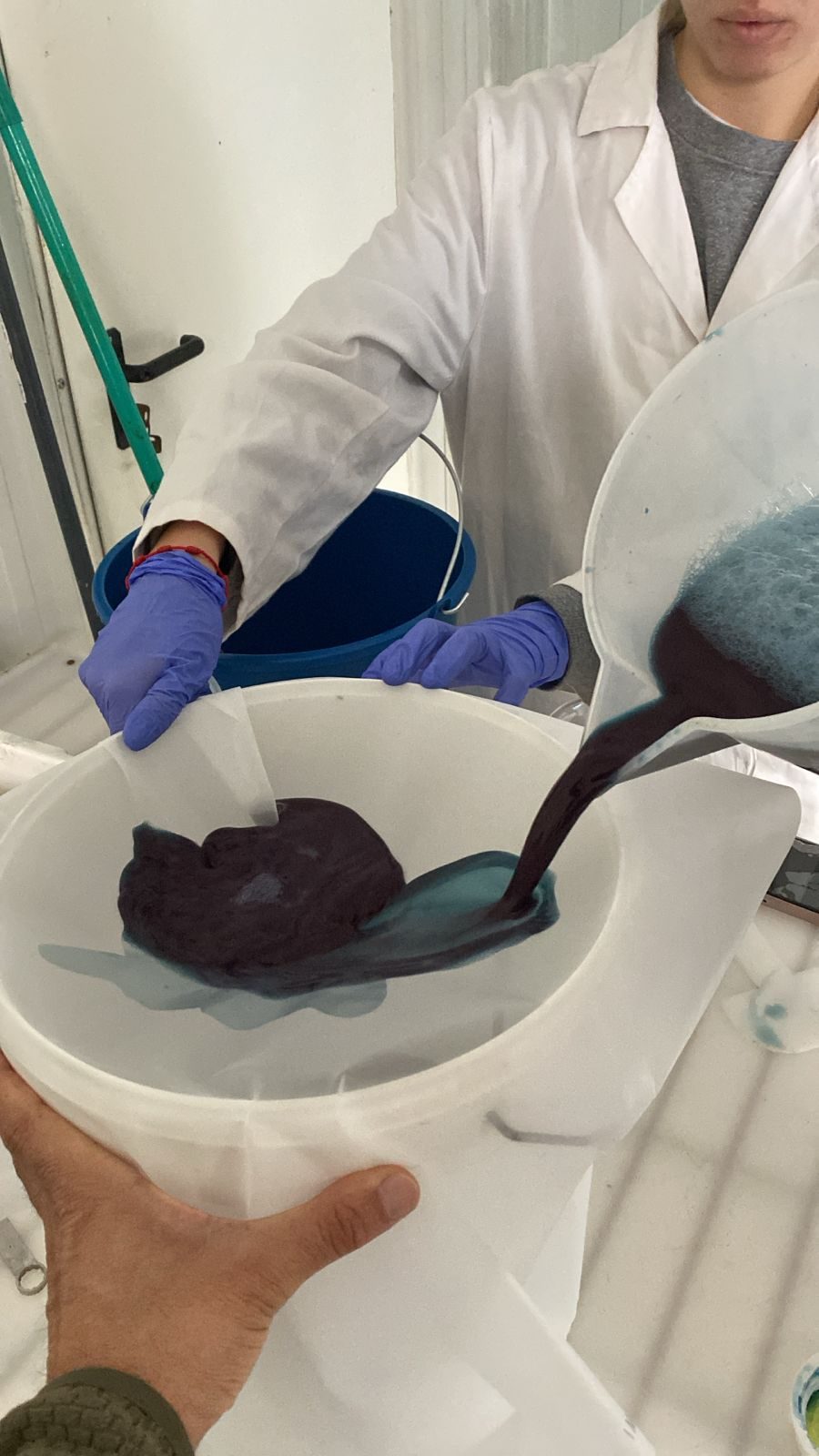 A technician working a tray of biomass paste in the laboratory